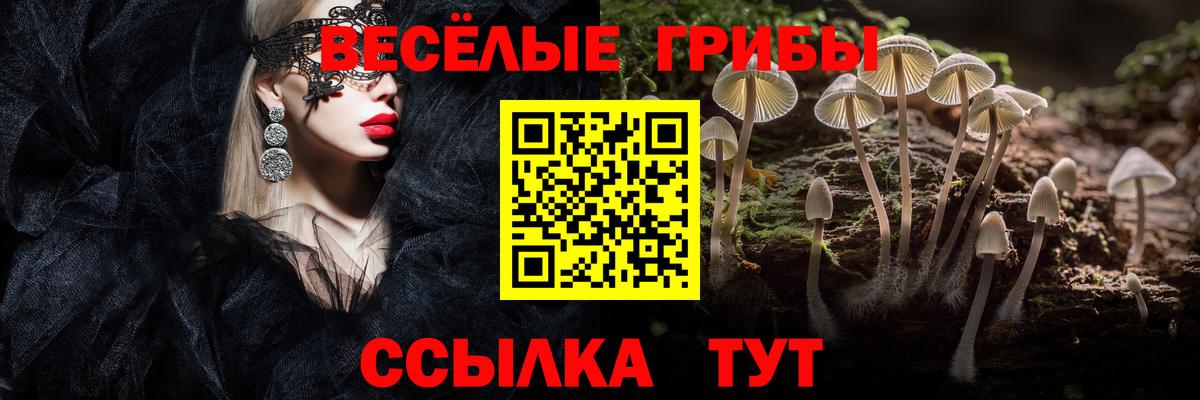 Псилоцибиновые грибы Cubensis Кудымкар