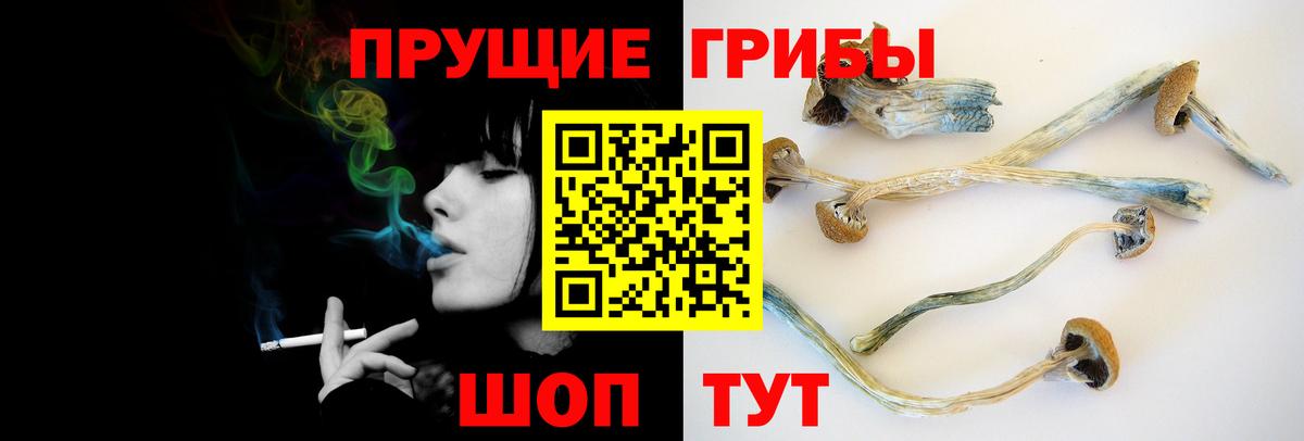 Псилоцибиновые грибы Psilocybe  Вход с VPN  Кудымкар 